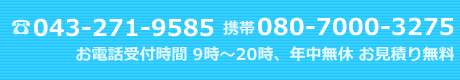 電話番号　043-271-9585