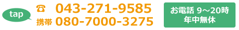電話番号043-271-9585